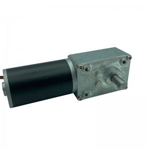 FT-58SGM36ZY Worm geared motor 36ZY Tubular motor