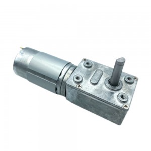 FT-58SGM555 Wareegga sare ee wareegga hoose ee rpm 12V 24V DC Worm gear motor 555 burushka mashiinka gooryaanka gearbox