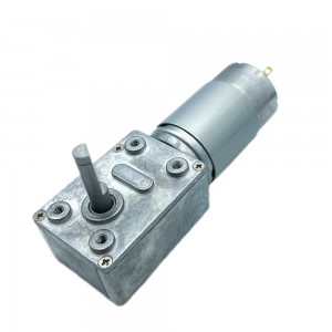 FT-58SGM555 High torque low rpm 12V 24V DC Worm gear motor 555 brush motor worm gearbox