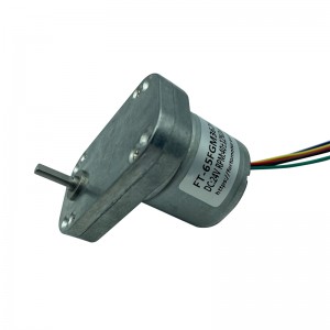 FT-65FGM3626 Flat gear motor brushless motor