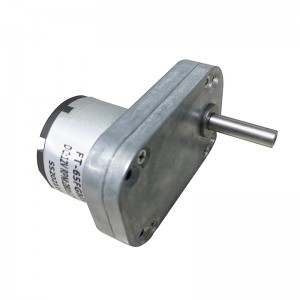 FT-65FGM520 Matoorada siman