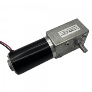 FT-82SGM51ZY 82 mm 12 Volt 24 V Schneckengetriebemotor mit hohem Drehmoment und niedriger Drehzahl und 51zy-Stahlrohrmotor