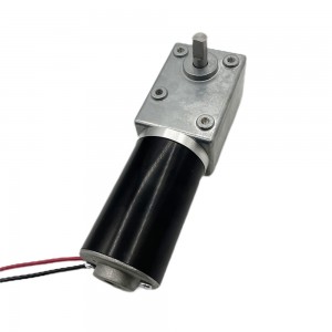 FT-82SGM51ZY 82 mm 12 Volt 24 V Schneckengetriebemotor mit hohem Drehmoment und niedriger Drehzahl und 51zy-Stahlrohrmotor
