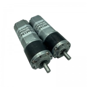 FT-22PGM190 Planetary Gear Reducer mótor