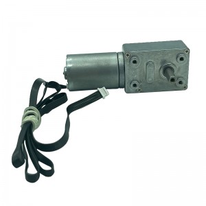 FT-46SGM2838 Worm gear motor brushless motor
