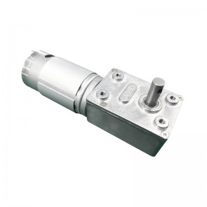 FT-58SGM545 Robotics motor worm gear motor