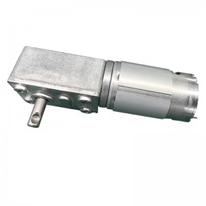 FT-58SGM545 Robotics motor worm gear motor