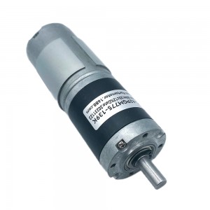 FT-42PGM775 42mm 24V dc motor high torque planetary gear box dc motor