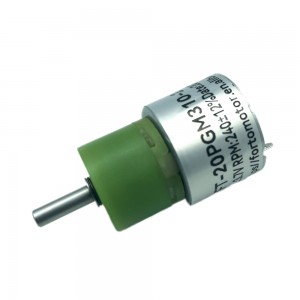 FT-20PGM310 DC planetgirmotor i plast