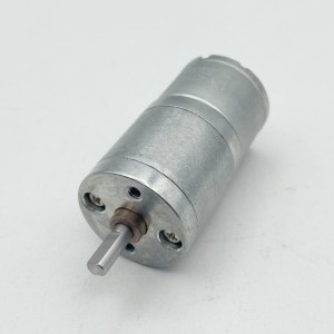 FT-25RGM310 25mm spur gear motor small DC geared reduction motor