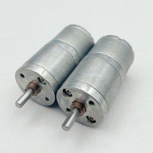 FT-25RGM310 25mm spur gear motor small DC geared reduction motor
