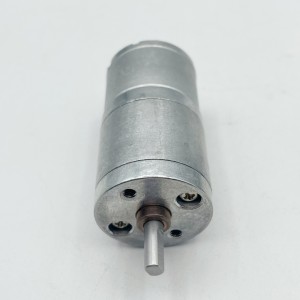 FT-25RGM310 25mm spur gear motor small DC geared reduction motor
