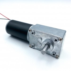 FT-58SGM36ZY Worm geared motor 36ZY Tubular motor