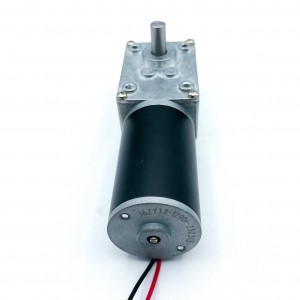 FT-58SGM36ZY Worm geared motor 36ZY Tubular motor