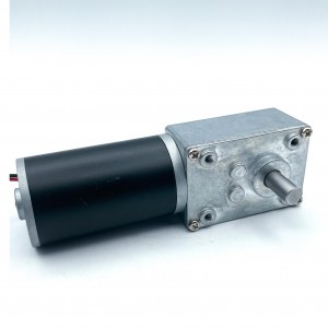 FT-58SGM36ZY Worm geared motor 36ZY Tubular motor