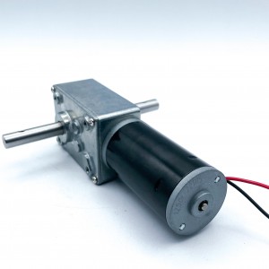FT-58SGM36ZY Worm geared motor 36ZY Tubular motor